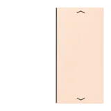 Orange Pâle