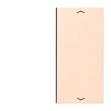 Rose Pâle