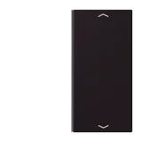 Noir d'Ivoire