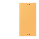 Ocre Jaune Clair