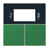 Vert Foncé