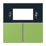 Vert 31