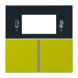 Vert Olive Vif
