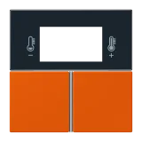 Orange Vif