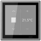 Gris 31