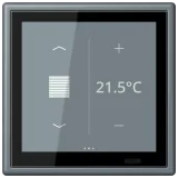 Gris 59