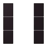 Noir d'Ivoire