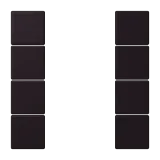 Noir d'Ivoire