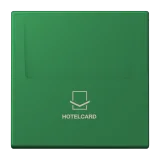 Vert Foncé