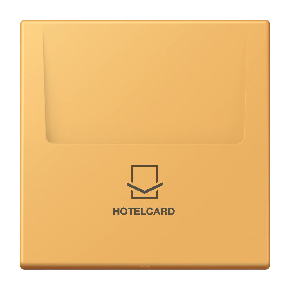 Key card holder — JUNG LS 990 Le Corbusier, le corbusier 254, art. LC590CARD254