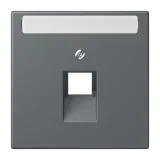 Gris Foncé 31