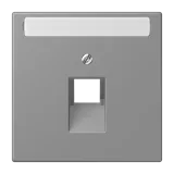 Gris 31
