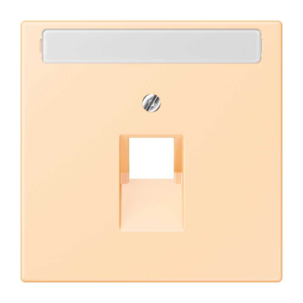 Centre plate with inscription field for 1-gang modular jack socket (8-pole) — JUNG LS 990 Le Corbusier, le corbusier 223, art. LC969-1NAUA223