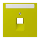 Vert Olive Vif