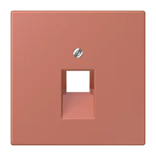 Centre plate for 1-gang modular jack socket (8-pole)