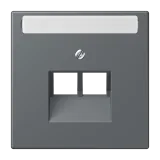 Gris Foncé 31