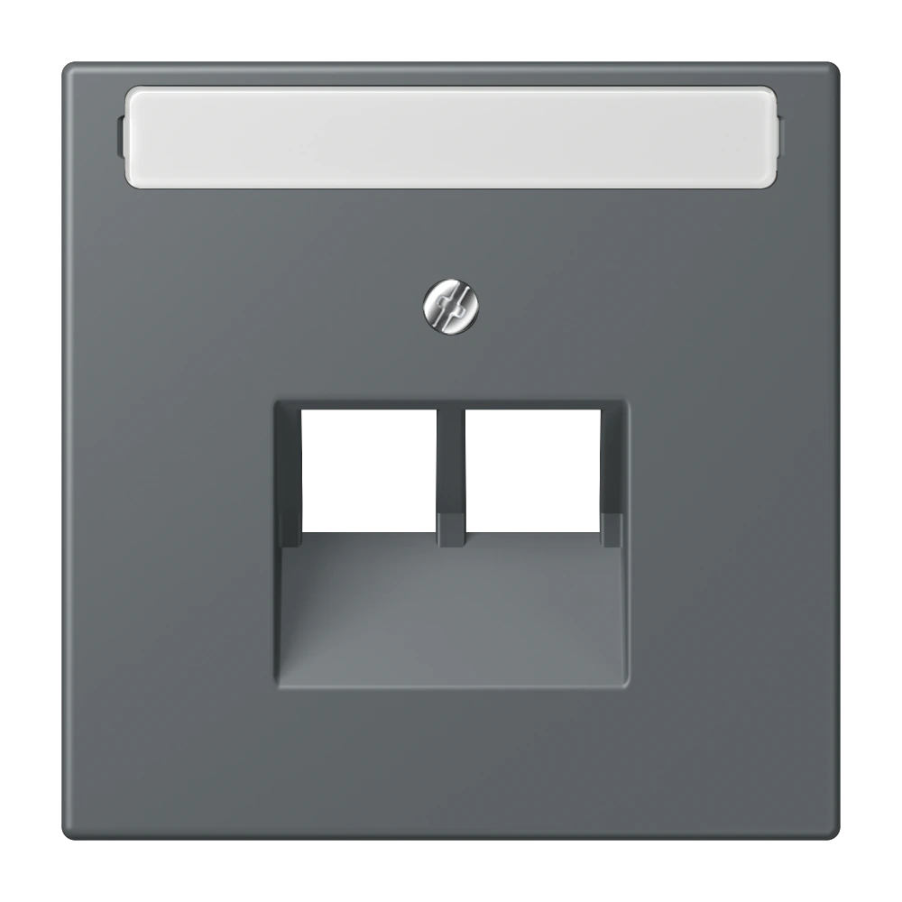 Centre plate with inscription field for 2-gang modular jack socket (8-pole) — JUNG LS 990 Le Corbusier, Gris Foncé 31, art. LC969-2NAUA202
