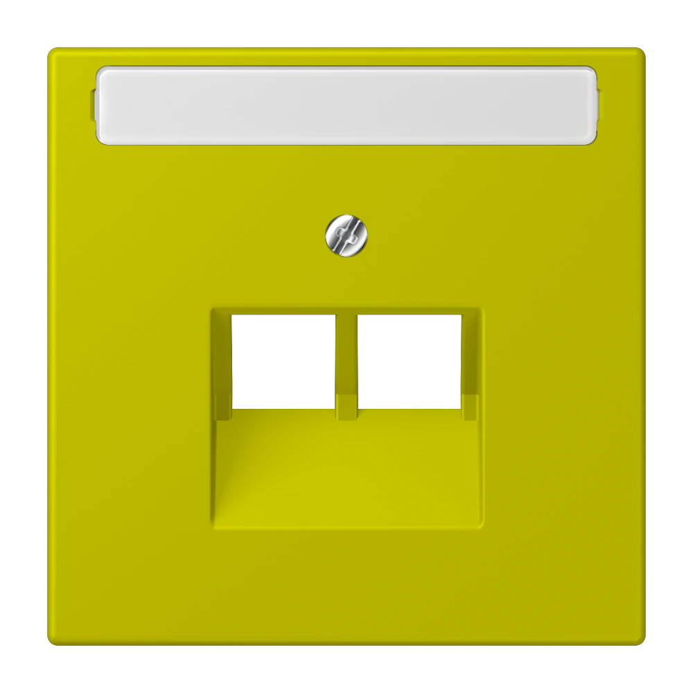 Centre plate with inscription field for 2-gang modular jack socket (8-pole) — JUNG LS 990 Le Corbusier, le corbusier 249, art. LC969-2NAUA249