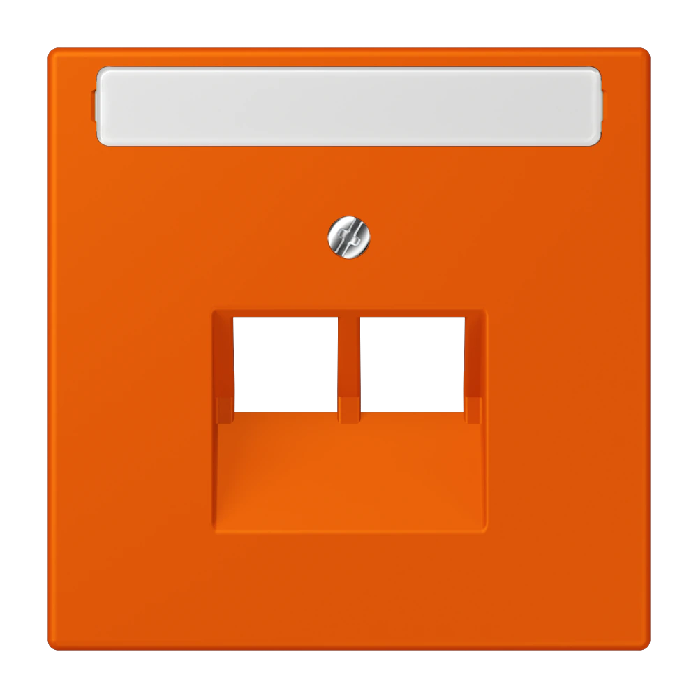 Centre plate with inscription field for 2-gang modular jack socket (8-pole) — JUNG LS 990 Le Corbusier, le corbusier 260, art. LC969-2NAUA260
