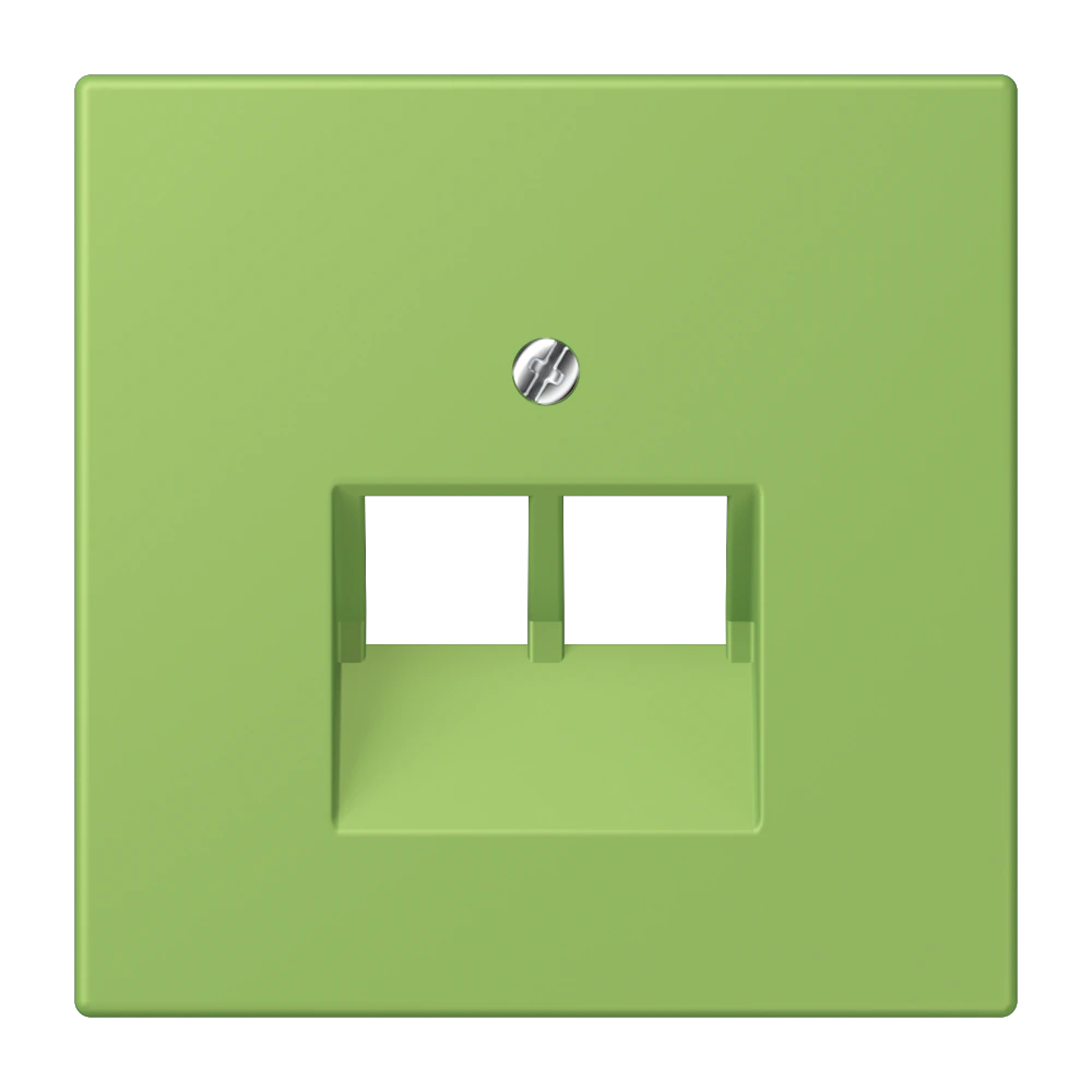 Centre plate for 2-gang modular jack socket (8-pole) — JUNG LS 990 Le Corbusier, Vert 31, art. LC969-2UA220