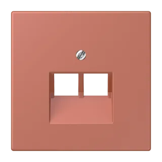 Centre plate for 2-gang modular jack socket (8-pole)