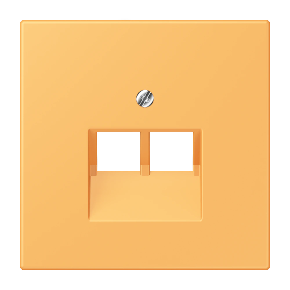 Centre plate for 2-gang modular jack socket (8-pole) — JUNG LS 990 Le Corbusier, le corbusier 254, art. LC969-2UA254