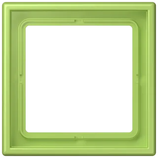 Рамка 1-ная