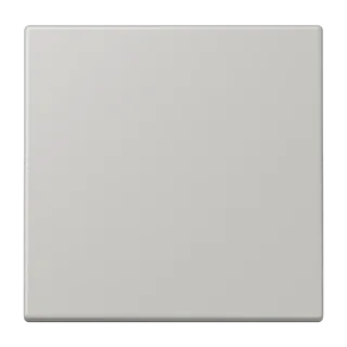 Gris Clair 31