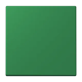 Vert Foncé