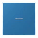 Bleu Céruléen 31