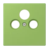 Vert 31