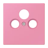 Rose Vif