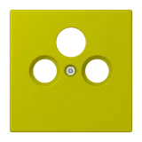 Vert Olive Vif