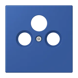 Centre plate for SAT-TV socket