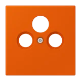 Orange Vif
