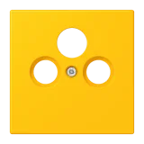 Le Jaune Vif