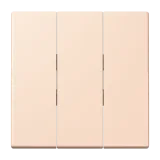 Rose Pâle
