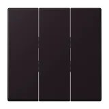 Noir d'Ivoire