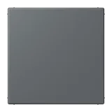 Gris Foncé 31