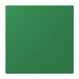 Vert Foncé