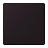 Noir d'Ivoire