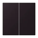 Noir d'Ivoire