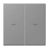 Gris 31
