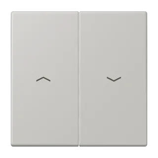 2-gang rocker for blind switch and blind push-button