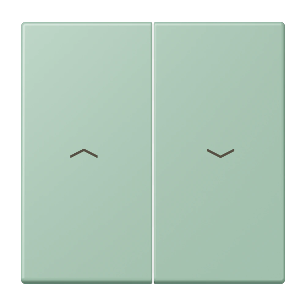 2-gang rocker for blind switch and blind push-button — JUNG LS 990 Le Corbusier, Vert Anglais Clair, art. LC995P217