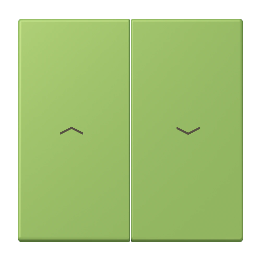 2-gang rocker for blind switch and blind push-button — JUNG LS 990 Le Corbusier, Vert 31, art. LC995P220