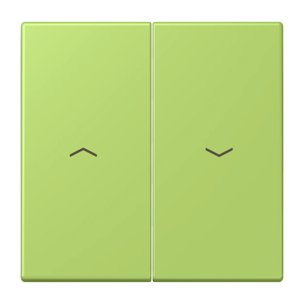 2-gang rocker for blind switch and blind push-button — JUNG LS 990 Le Corbusier, le corbusier 221, art. LC995P221