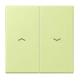 Vert Jaune Clair