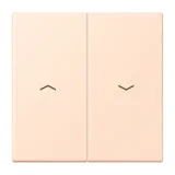 Rose Pâle