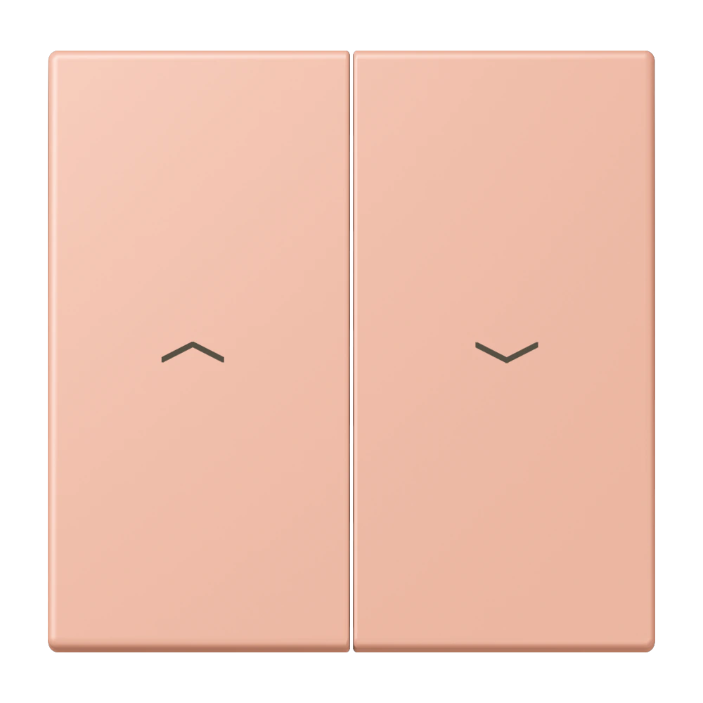 2-gang rocker for blind switch and blind push-button — JUNG LS 990 Le Corbusier, le corbusier 231, art. LC995P231